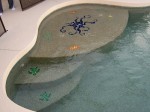 Residential Pool with custom tile inlays