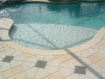 Custom Residential Pool with Sun Shelf