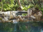 Coral rock custom pool